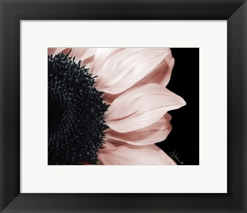 Framed Whisper of Pink Print