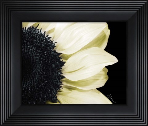 Framed Splashes of Blonde Print