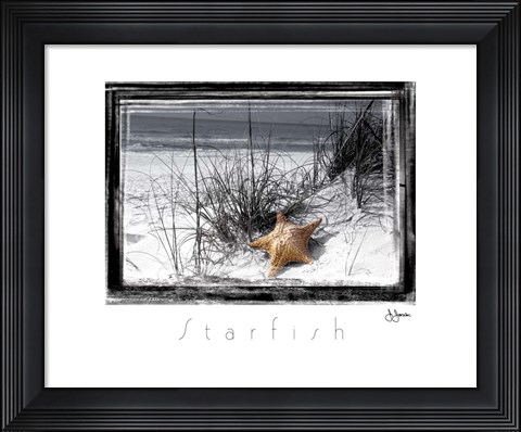Framed Starfish Print