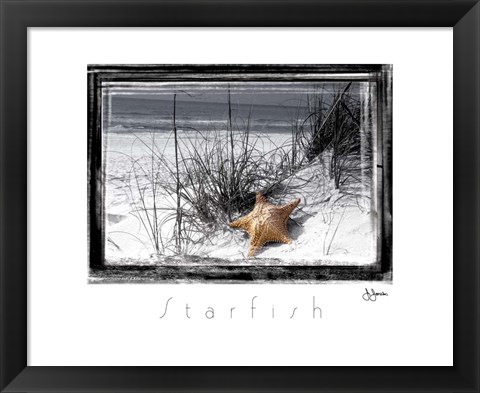 Framed Starfish Print