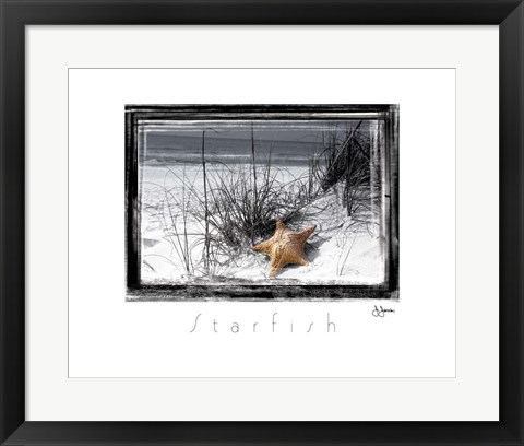 Framed Starfish Print