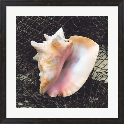 Framed Conch with Net Print