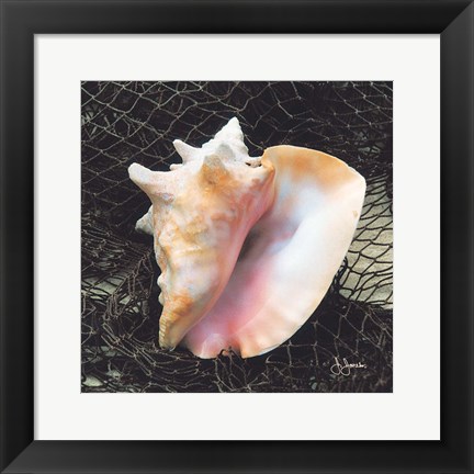 Framed Conch with Net Print