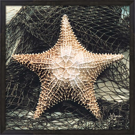 Framed Starfish with Net Print