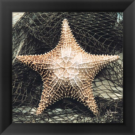 Framed Starfish with Net Print