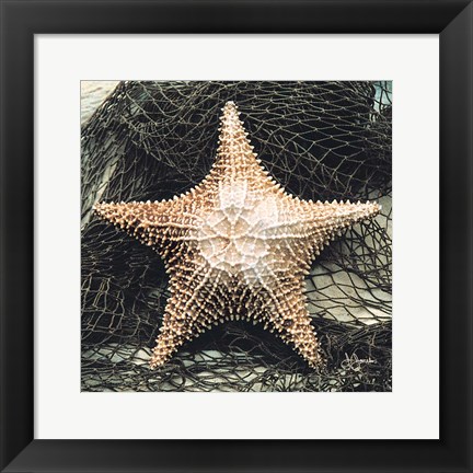 Framed Starfish with Net Print