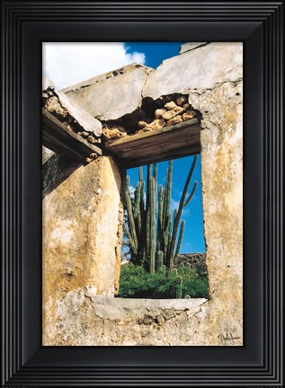 Framed Cactus View Print