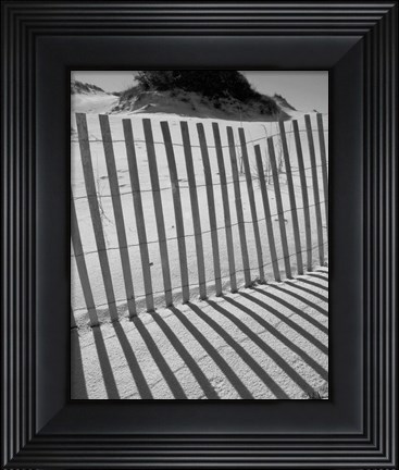 Framed I.R. Fla Fence 2 Print