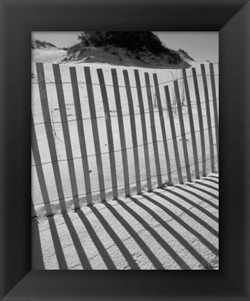 Framed I.R. Fla Fence 2 Print