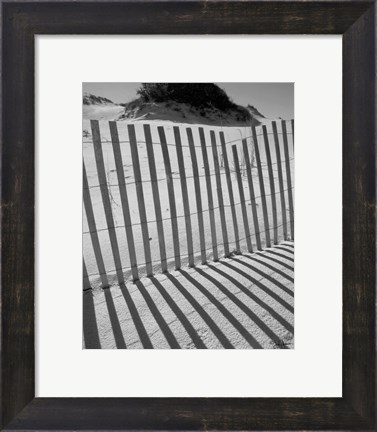 Framed I.R. Fla Fence 2 Print