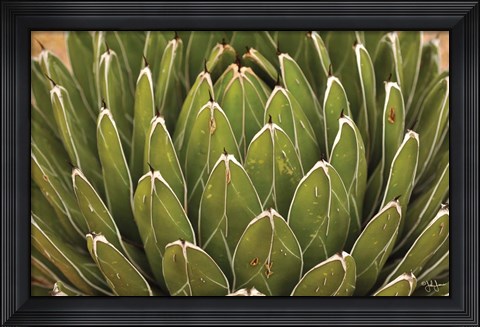 Framed Hens and Chickens Print