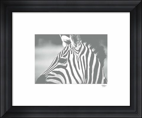 Framed Natural Harmony Print