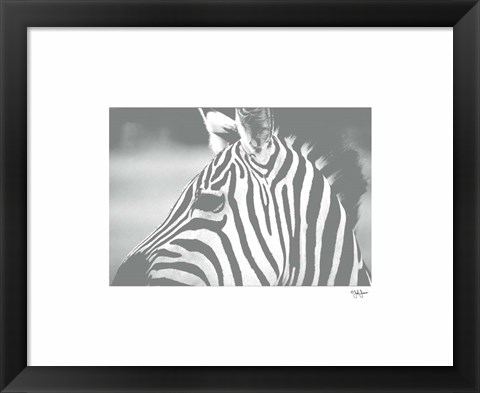 Framed Natural Harmony Print