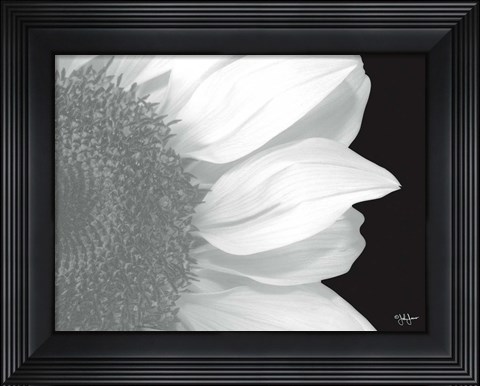 Framed Beautiful Entrance Print