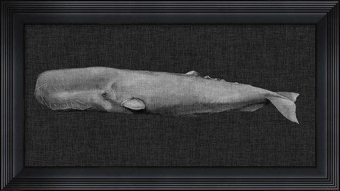 Framed Inverted Whale I Print