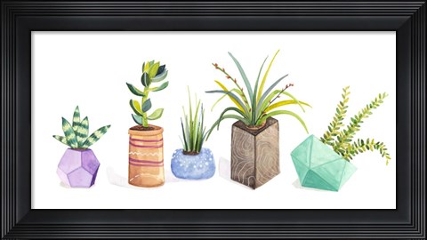 Framed Succulent Display I Print