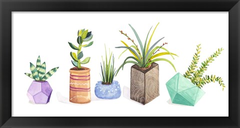 Framed Succulent Display I Print