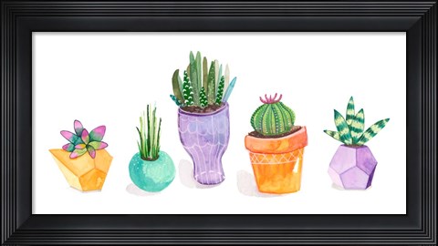 Framed Succulent Display II Print