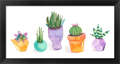 Framed Succulent Display II Print