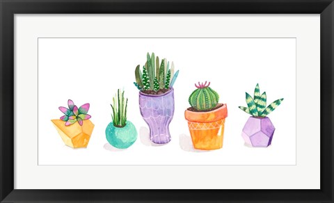 Framed Succulent Display II Print