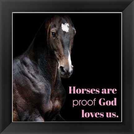 Framed Horse Quote 8 Print