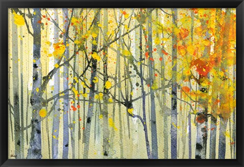 Framed Autumn Birches Print