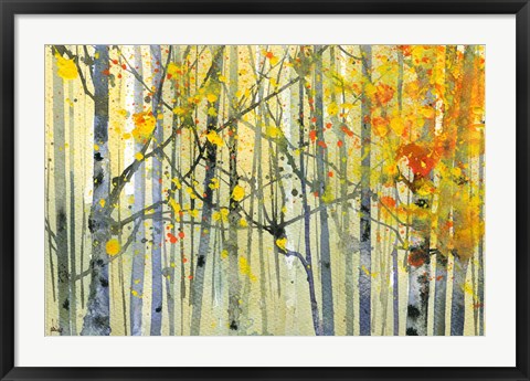 Framed Autumn Birches Print