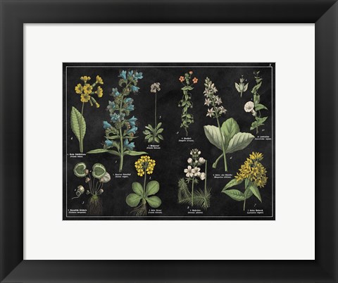 Framed Botanical Floral Chart I Black and White Print