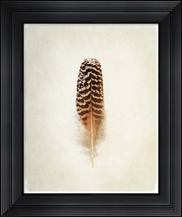 Framed Feather I Print