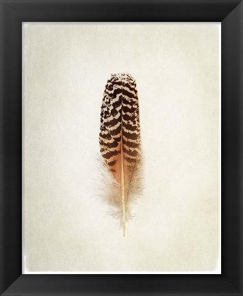 Framed Feather I Print