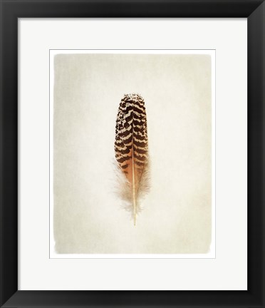 Framed Feather I Print