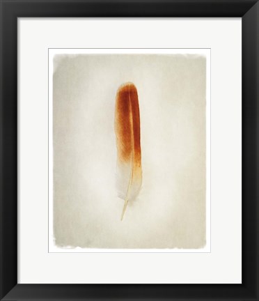 Framed Feather II Print