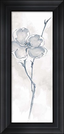 Framed Solitary Dogwood II Gray Print