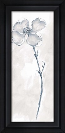 Framed Solitary Dogwood III Gray Print
