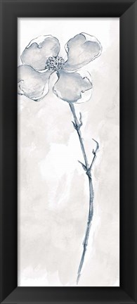 Framed Solitary Dogwood III Gray Print