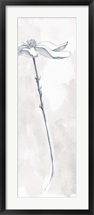 Framed Solitary Dogwood V Gray Print