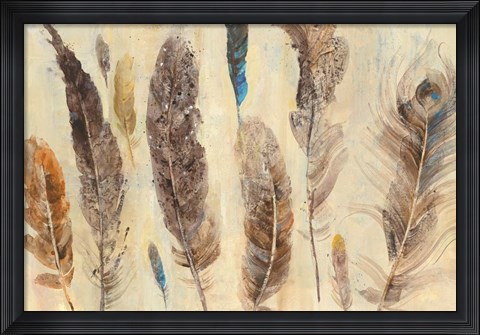 Framed Feather Study Print
