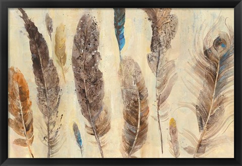 Framed Feather Study Print