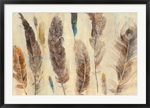 Framed Feather Study Print