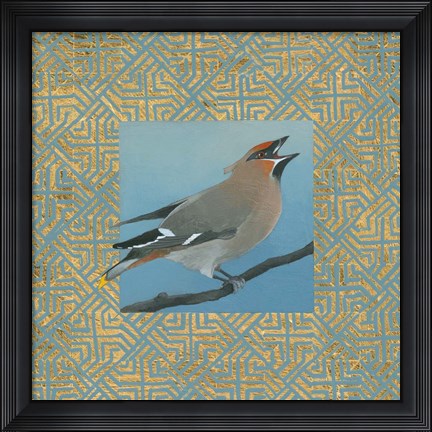 Framed Cedar Waxwing Border Print