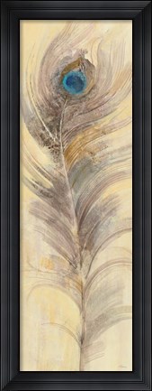 Framed Blue Eyed Feathers III Print