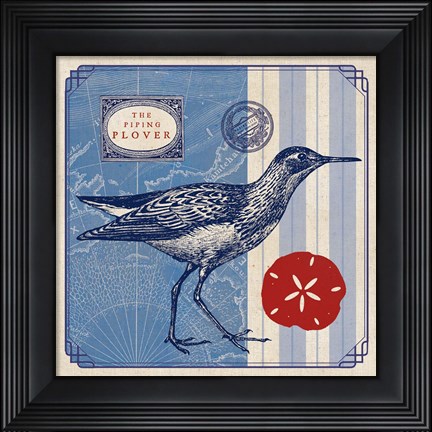 Framed Sea Bird I Print