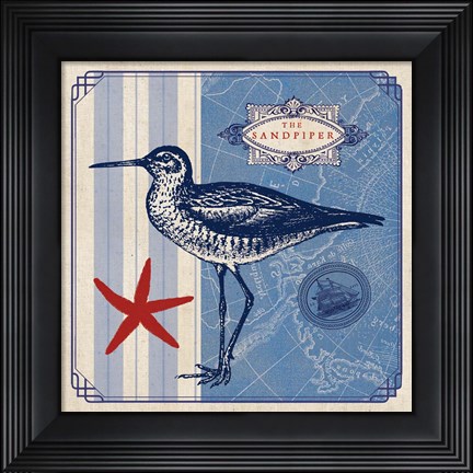 Framed Sea Bird II Print