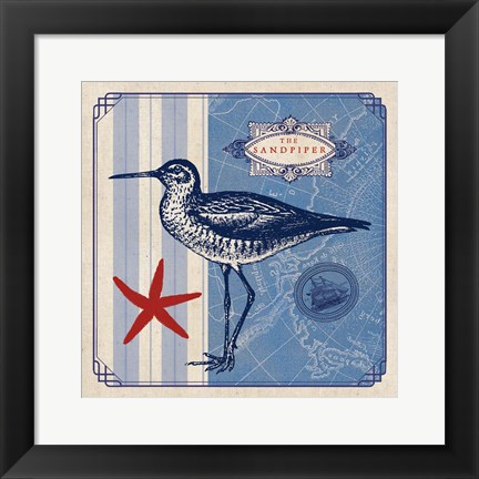 Framed Sea Bird II Print