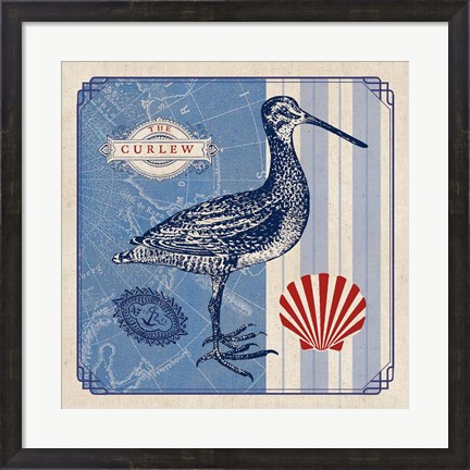 Framed Sea Bird III Print
