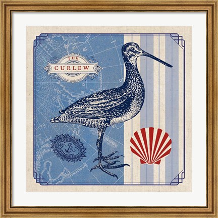 Framed Sea Bird III Print