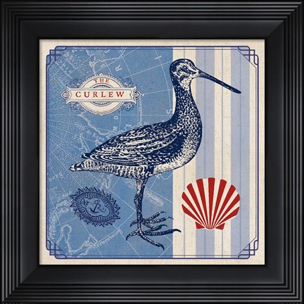 Framed Sea Bird III Print