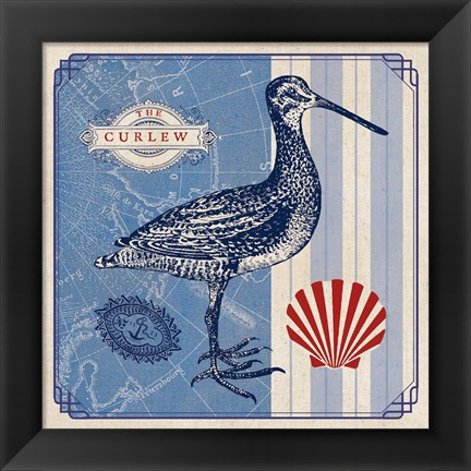 Framed Sea Bird III Print