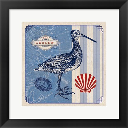 Framed Sea Bird III Print