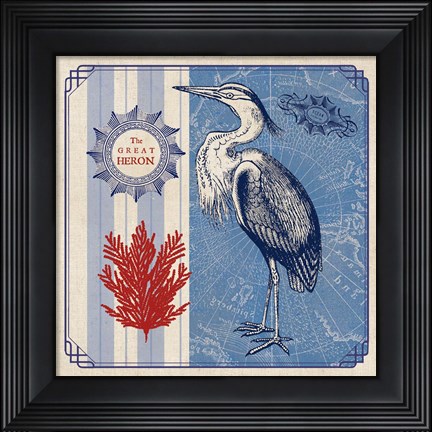 Framed Sea Bird IV Print